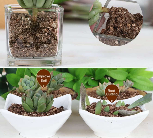 (3 bags)Nutrient Retention and Aerates The Soil, Perfect for Root Cuttings, Seed Germination, Arranging Flowers, and Bedding for Invertebrates - Flip It Now