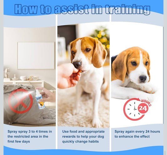 No Chew Spray for Dogs 2 Pack (100ML) Natural Ingredients Bitter Apple Spray for Dogs Alcohol Free Deterrent Spray to Stop Chewing Barking Marking and Nibbling - Flip It Now