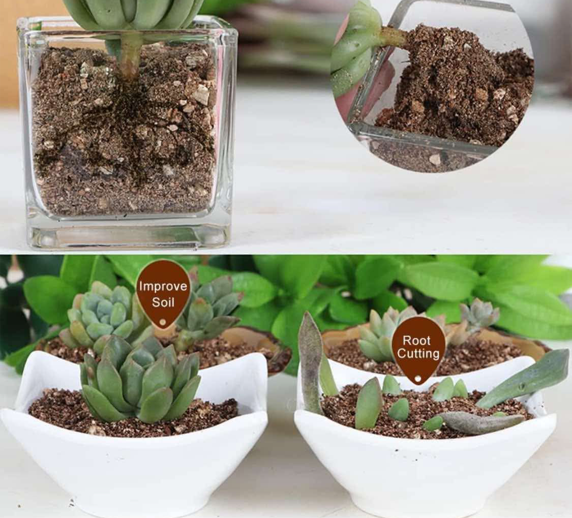 (3 bags)Nutrient Retention and Aerates The Soil, Perfect for Root Cuttings, Seed Germination, Arranging Flowers, and Bedding for Invertebrates