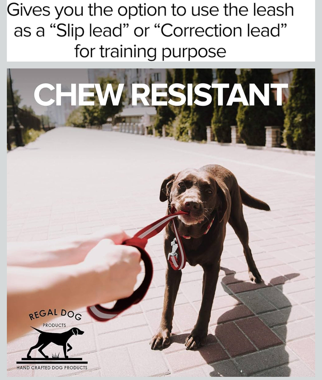 Regal Dog Products Reflective Leash – 5 ft. Dog Leash with Easy to Use Collar Hook, Lightweight, and Proof Training Pet Lead for Small, Medium, Large, or XL Dogs (Red) - Flip It Now