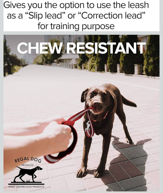 Regal Dog Products Reflective Leash – 5 ft. Dog Leash with Easy to Use Collar Hook, Lightweight, and Proof Training Pet Lead for Small, Medium, Large, or XL Dogs (Red) - Flip It Now