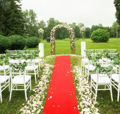 Shappy Red Carpet Runner Rug for Party 55gsm Thickness with 1 Piece Carpet Tape for Wedding Christmas Xmas Christmas Outdoor Accessories, Wedding Party Hallway Rug(2.6 x 30 Feet)