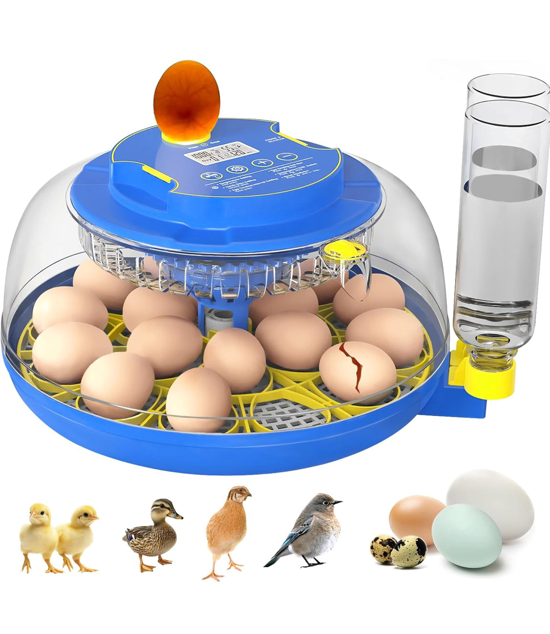 18 Egg Incubator with Automatic Egg Turning & Humidity Control, 360° Viewing, Dual Egg Trays,Incubators for Hatching Eggs, Chicken, Duck, Quail, Goose, Parrot (Home, Farm, Lab,Classroom Use)