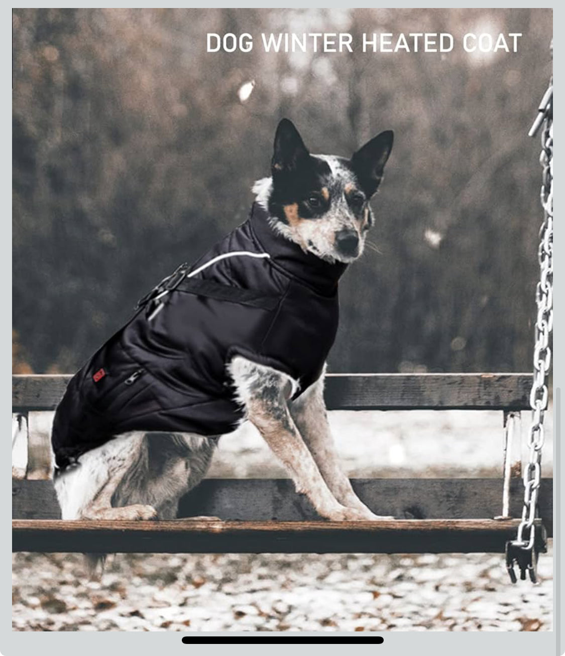 COMOIL Heated Dog Warm Jackets,Heated Winter Dog Vest for USB Charging,Power Bank Included,Water Resistant, Reflective Cold Weather Coats with Dual D Ring Leash for Dogs and Cats,Portable(Black L) - Flip It Now